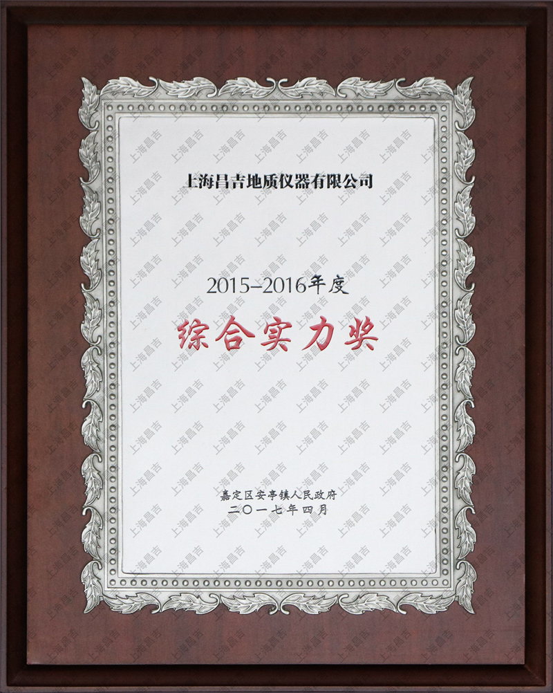综合实力奖