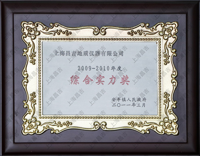 综合实力奖