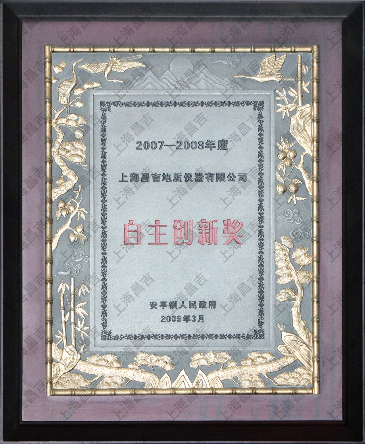 自主创新奖